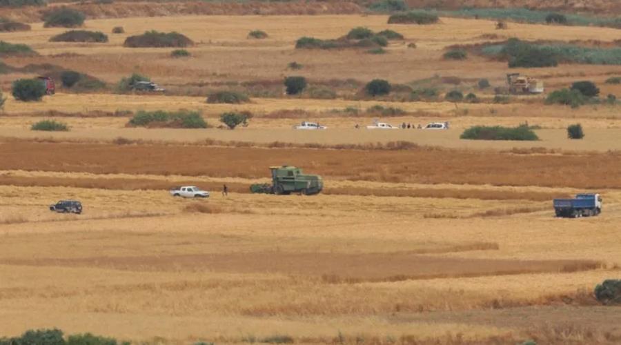 5366054175699319 image