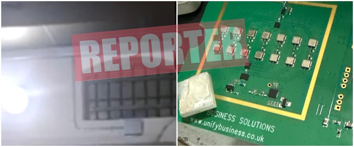 5366066240000181 cats