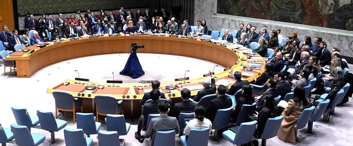 5366558429726468 cats