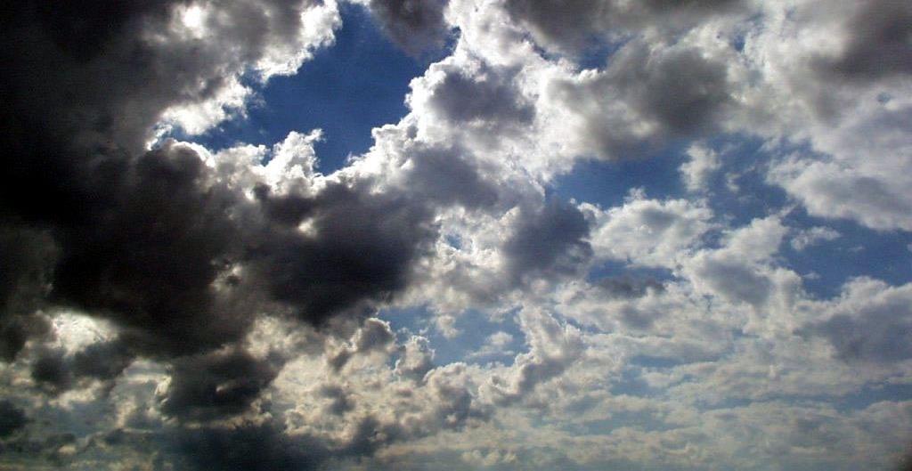 5366571952055938 cats