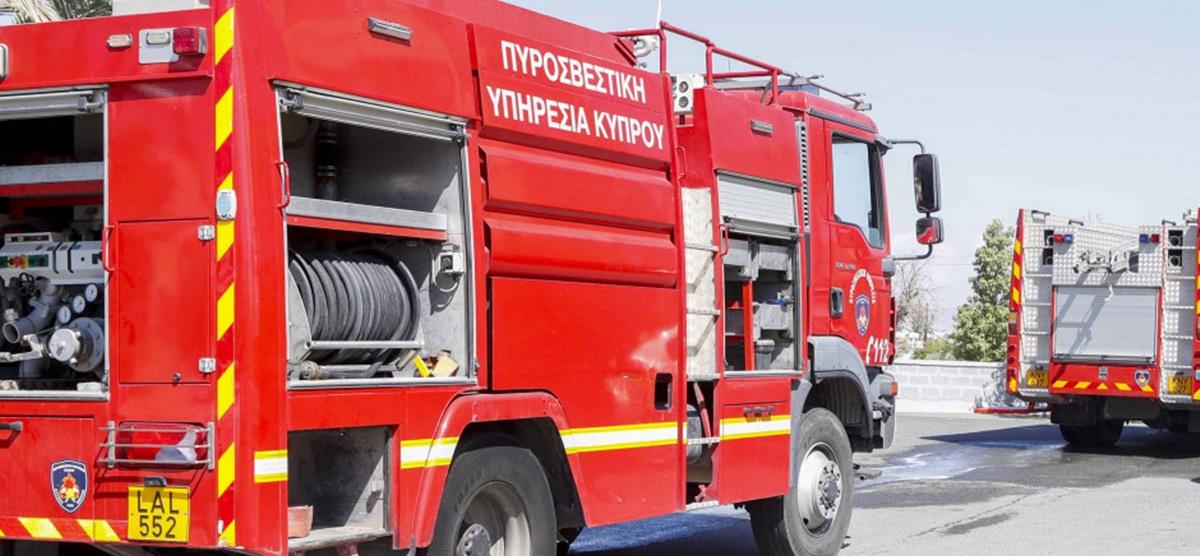 5366694854454947 cats