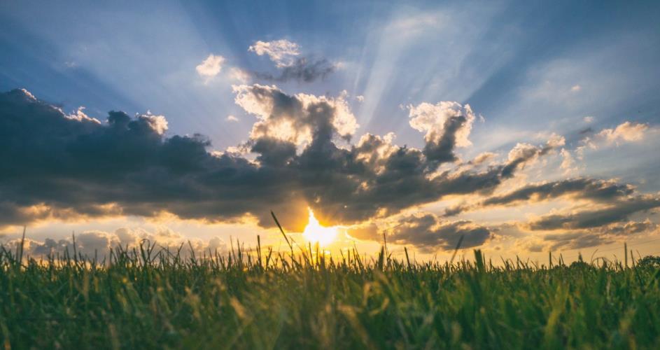 5366752082197847 image