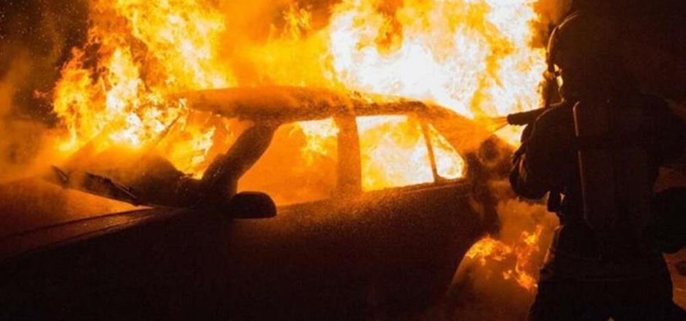 5366793927813611 cats