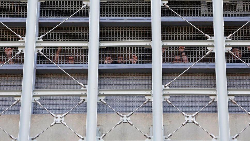 5367848829057254 image