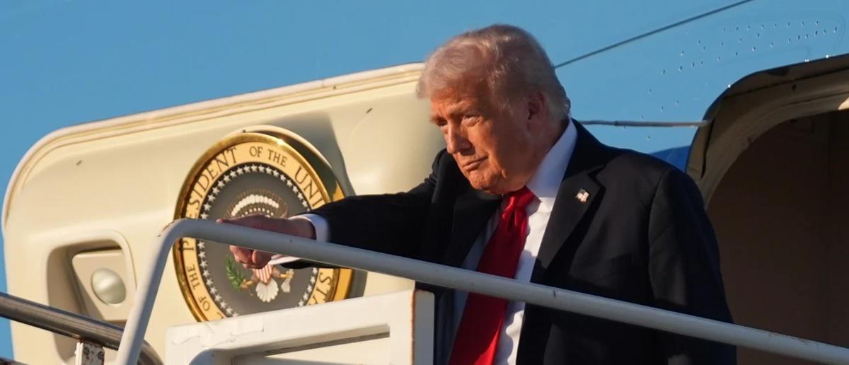 5368289531107227 cats