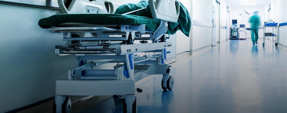 5368433283565327 cats