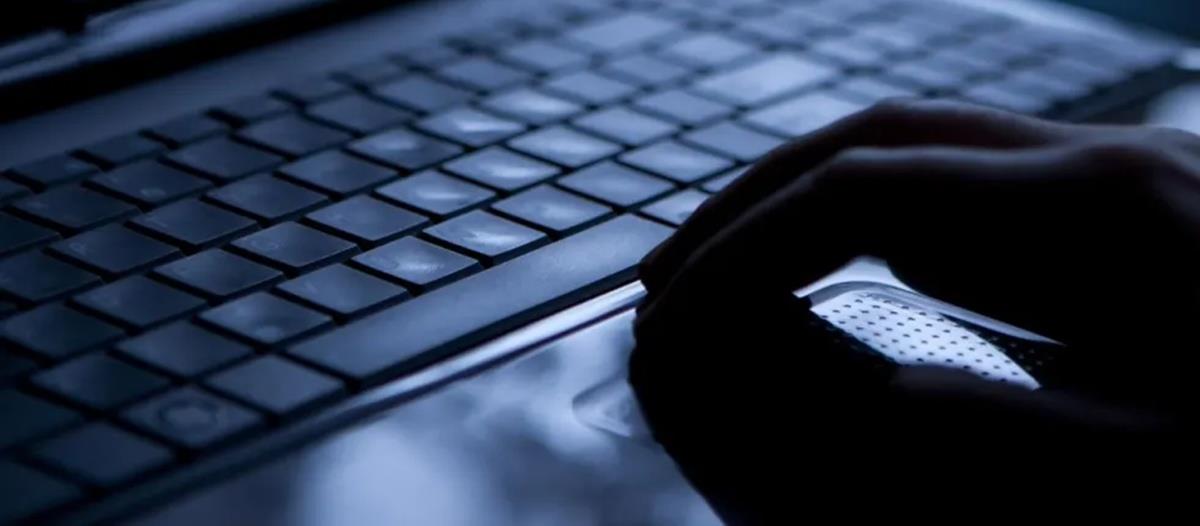 5368447708514697 cats