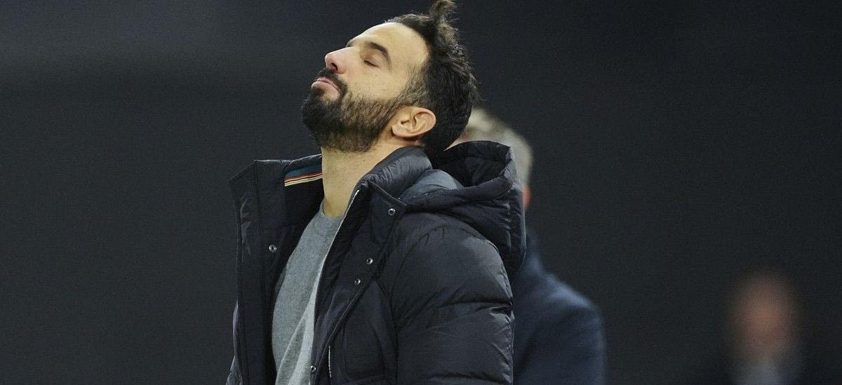 5368499238401160 cats