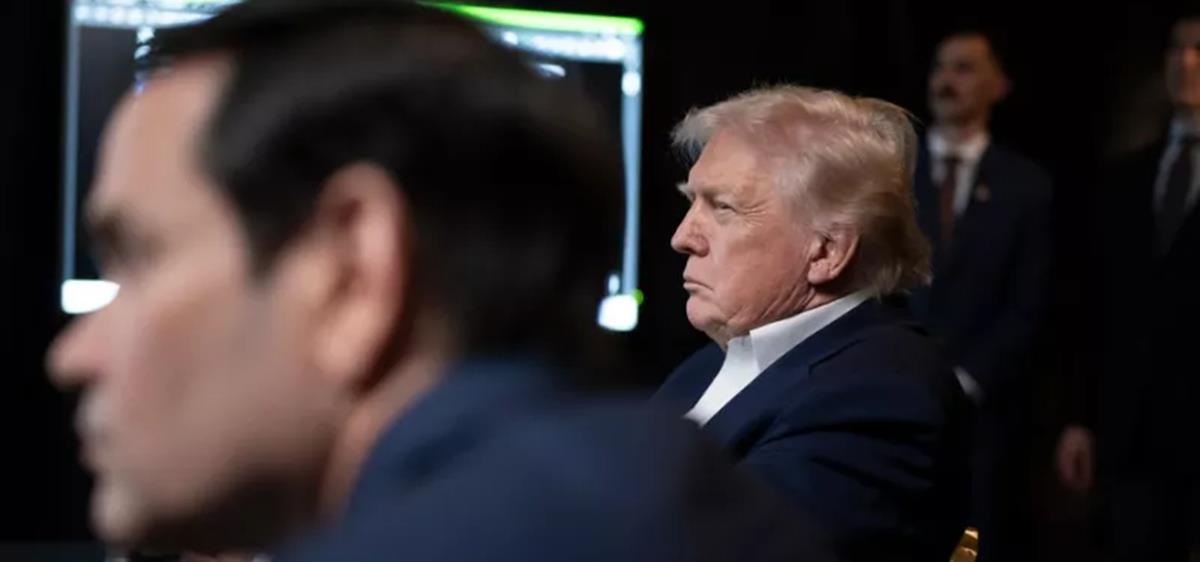 5368522725514893 cats