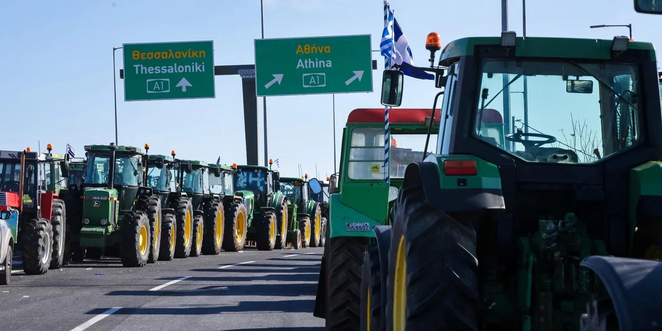 5368538344926036 image