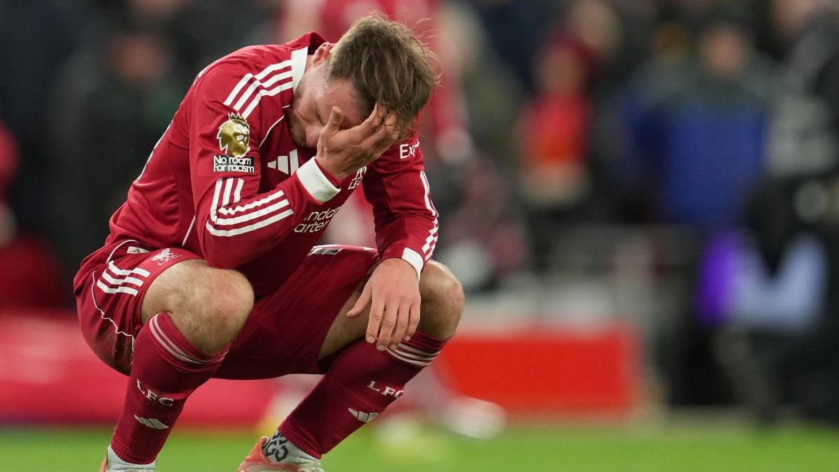 5368564235088823 image