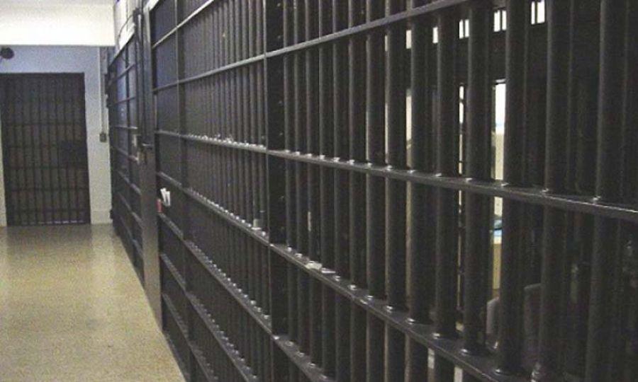 5369303181077473 image