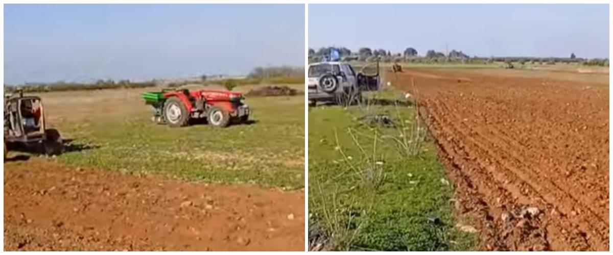 5369430178771521 collage