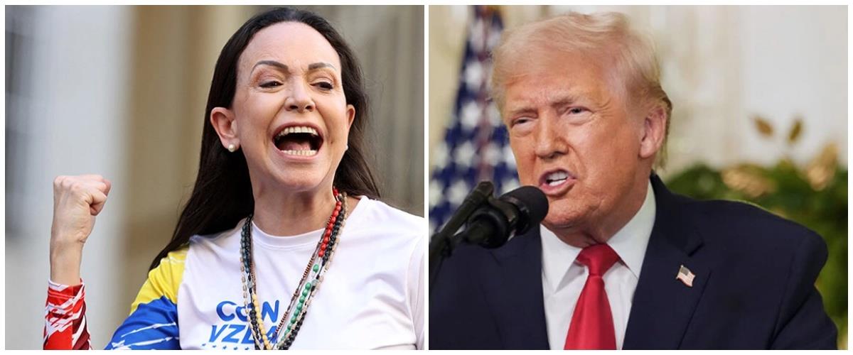 5369609381841543 collage