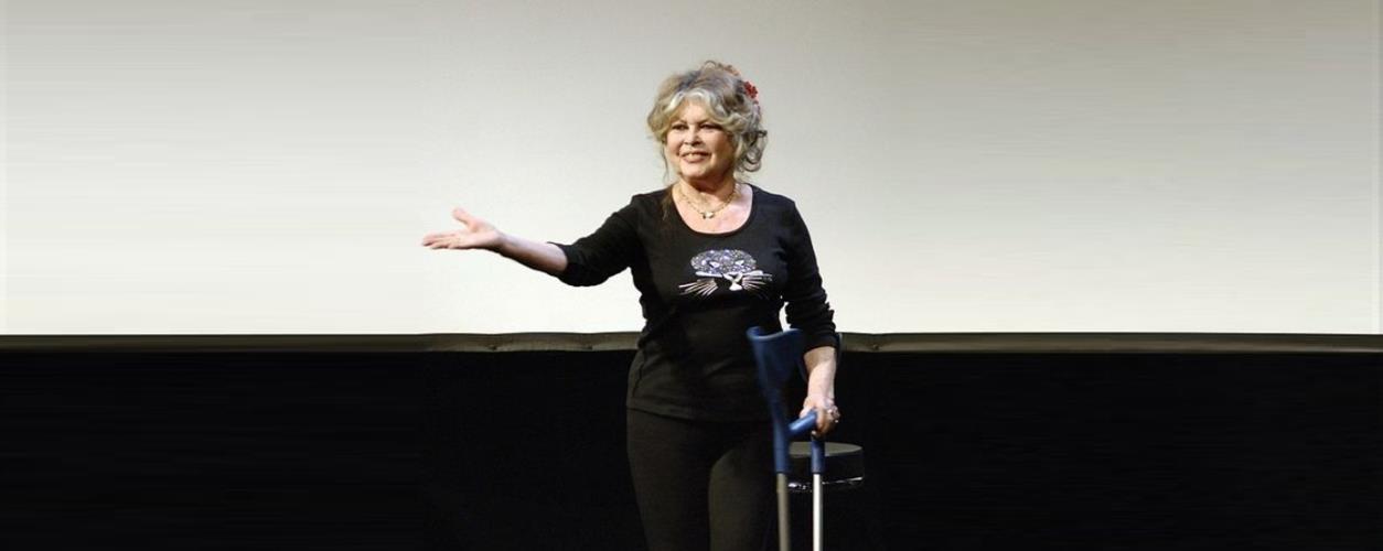 5370264692716027 BRIGITTE BARDOT 1