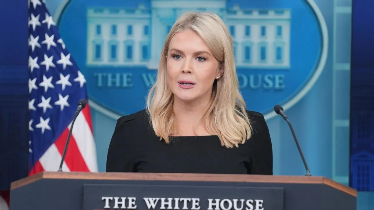 5370468597776513 image