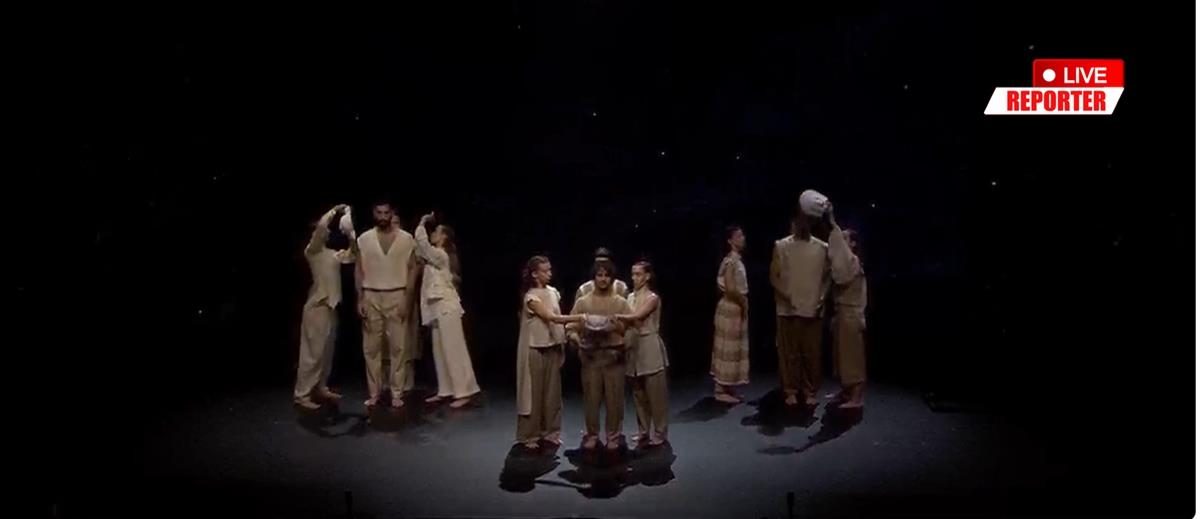 5370481868295749 cats