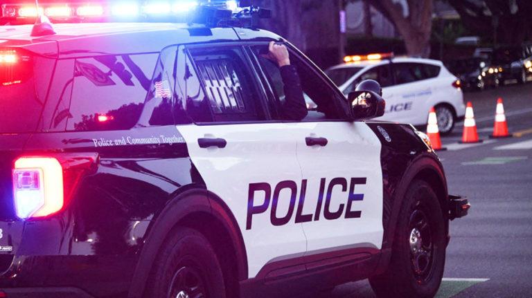 5370912704716484 image