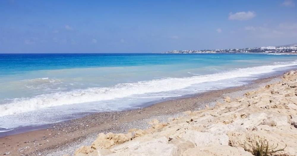 5371013809870590 cats