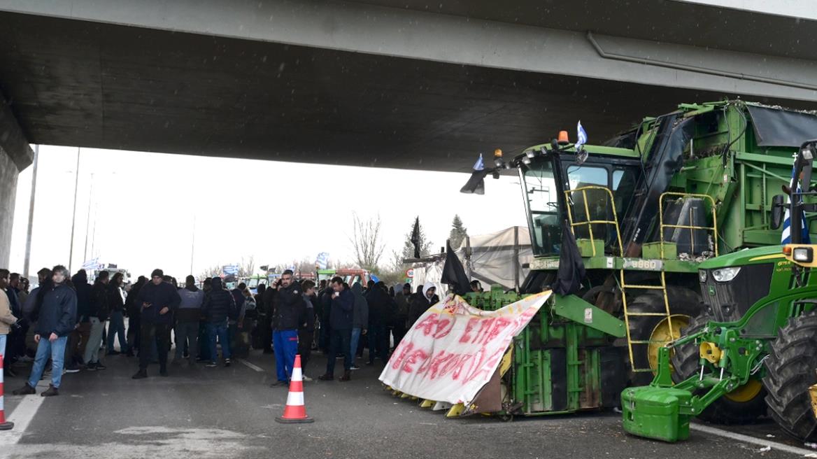 5371016383996528 image