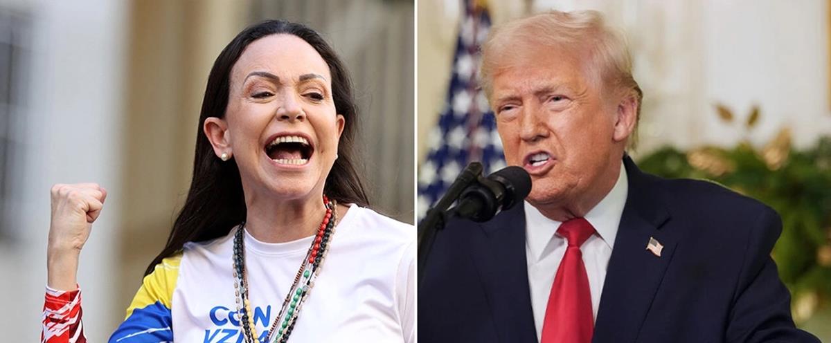 5371761231830517 cats