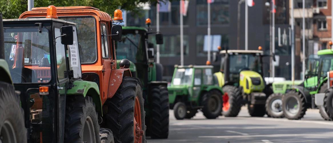 5371777324182720 image