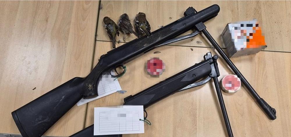 5371804598570830 cats