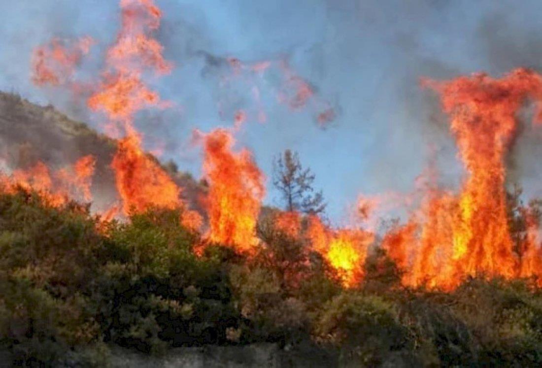 5371886367603941 image