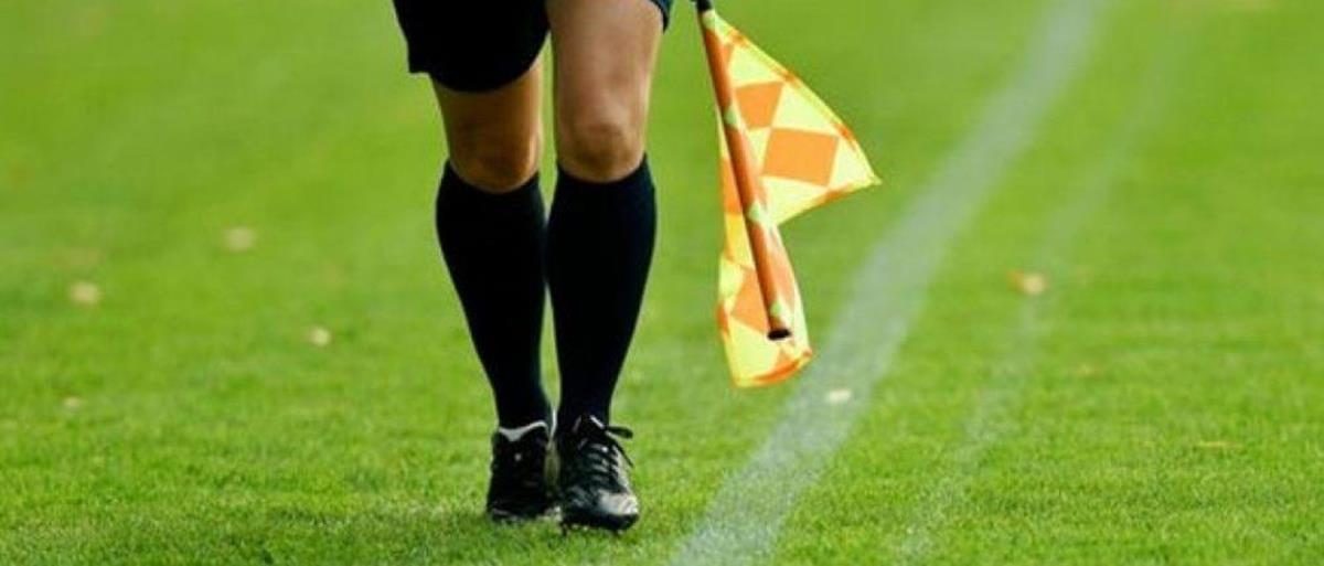 5371912638812788 cats