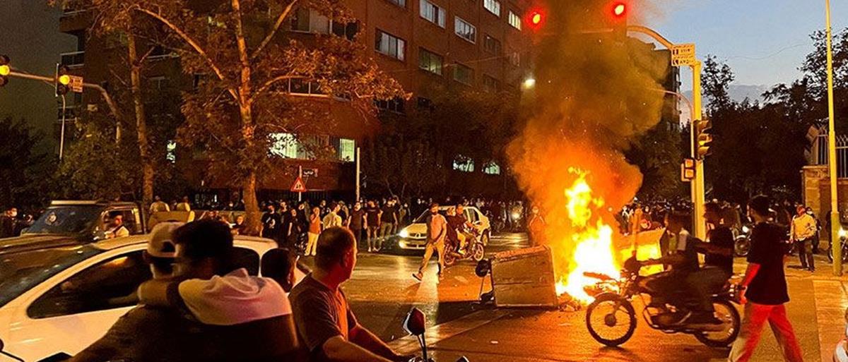 5371916679321206 cats