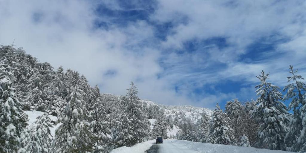 5371951829411564 image