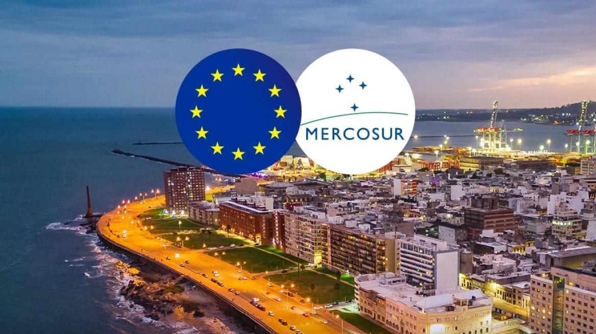 5371991794974640 image