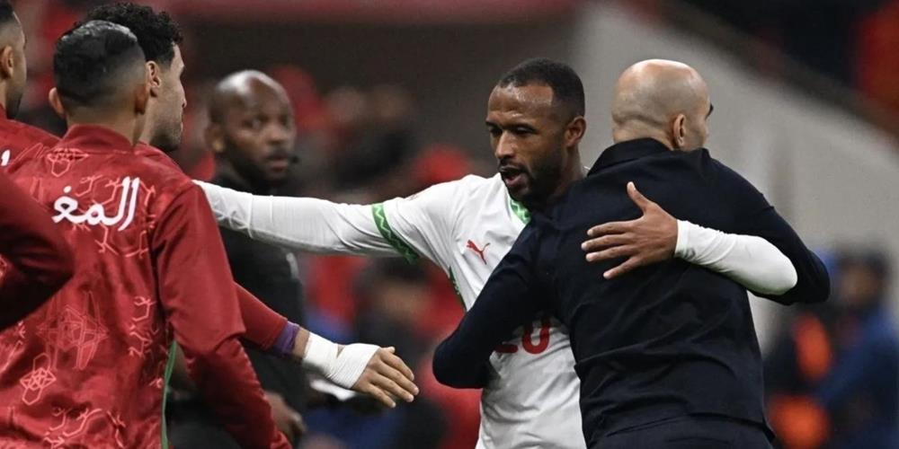 5372010129683624 cats