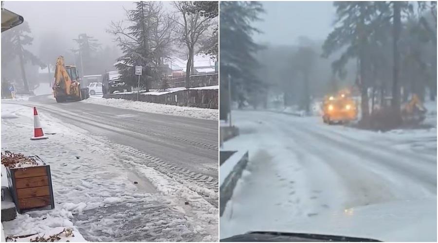 5372095701198544 collage25255