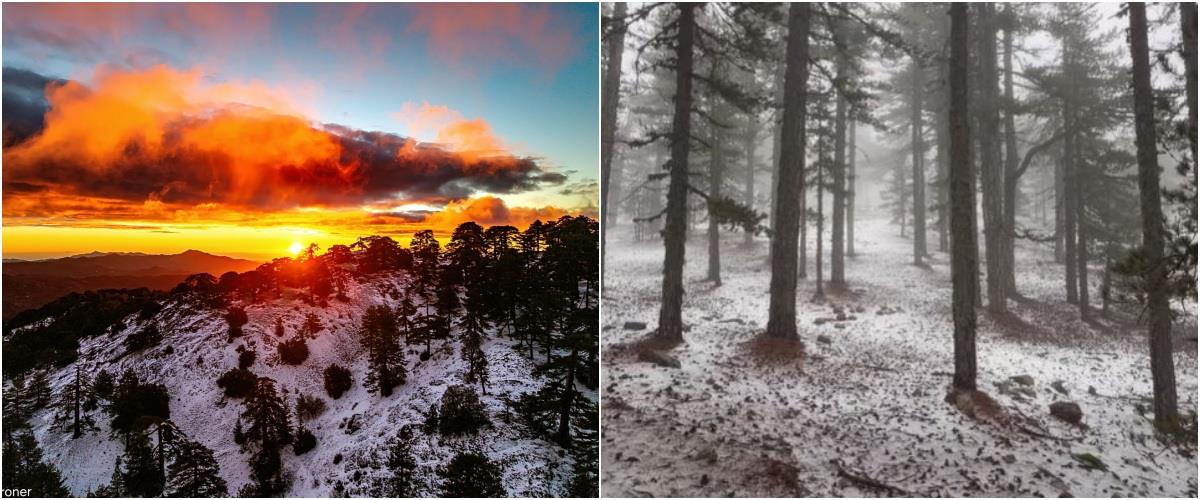 5372817539884827 collage32574W674