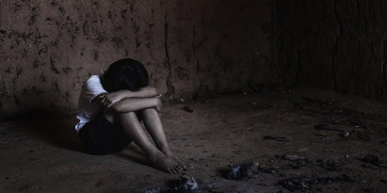 5372862023311349 image