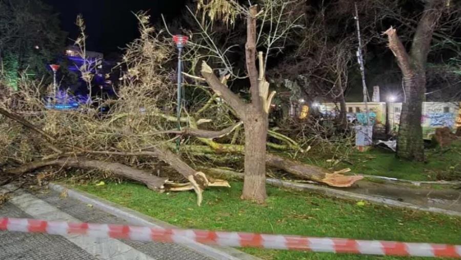 &Beta;&Iota;&Nu;&Tau;&Epsilon;&Omicron;: Ά&nu;&epsilon;&mu;&omicron;&iota; &mu;&epsilon; &rho;&iota;&pi;έ&sigmaf; 140 &chi;&iota;&lambda;&iota;&omicron;&mu;έ&tau;&rho;&omega;&nu; &sigma;ά&rho;&omega;&sigma;&alpha;&nu; &tau;&eta;&nu; &Alpha;&lambda;&epsilon;&xi;&alpha;&nu;&delta;&rho;&omicron;ύ&pi;&omicron;&lambda;&eta;-&Kappa;&alpha;&kappa;&omicron;&kappa;&alpha;&iota;&rho;ί&alpha; &sigma;&epsilon; ό&lambda;&eta; &tau;&eta;&nu; &Epsilon;&lambda;&lambda;ά&delta;&alpha;