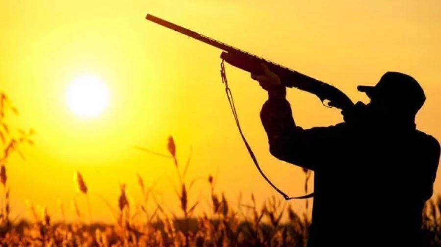 5373771235323025 fdsfds