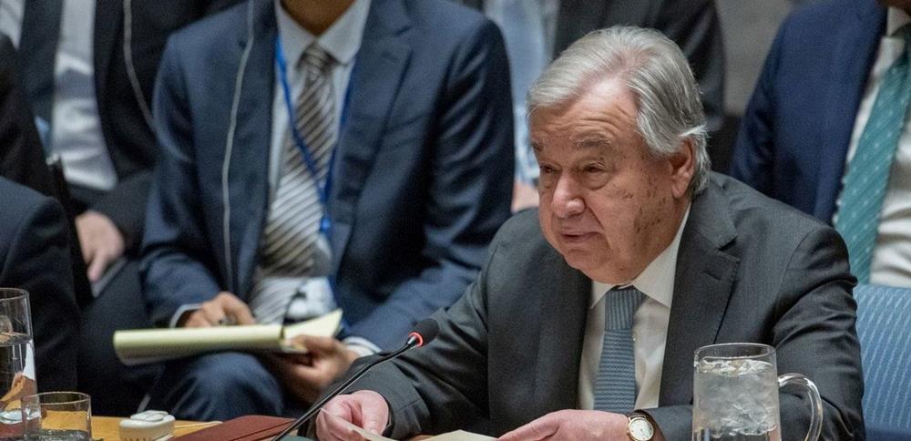 5374404124588730 cats