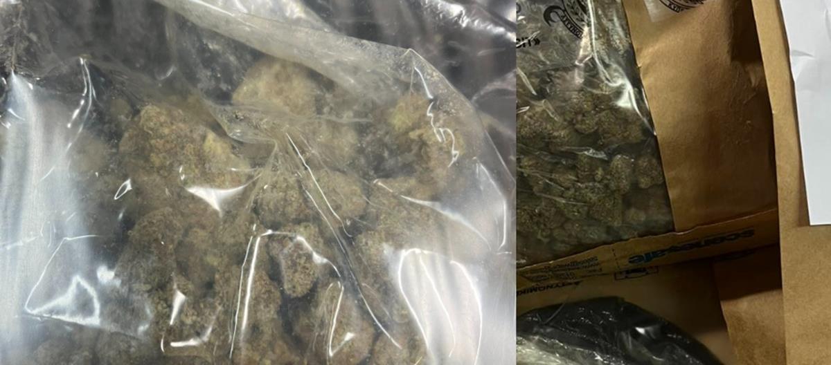 5374408458270031 YKAN-2