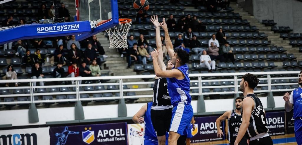 5374431903150895 cats