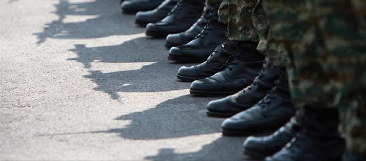 5374452216033319 cats