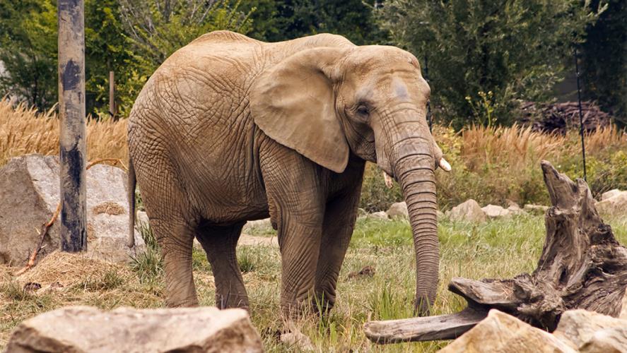 5374711802047682 image