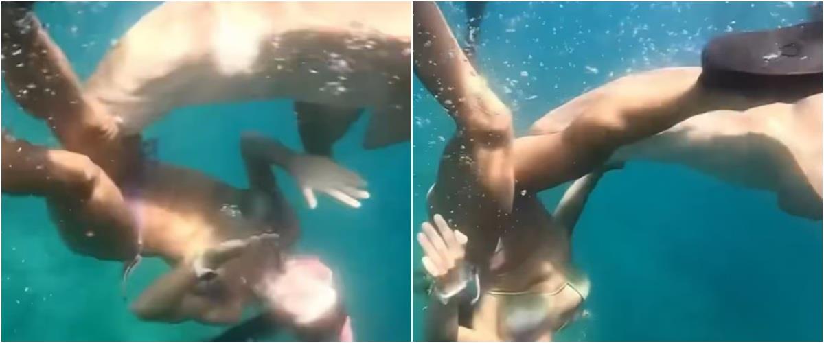 Άγρια επίθεση καρχαρία σε γυναίκα στη Βραζιλία-«Ήξερα ότι με είχε δαγκώσει»