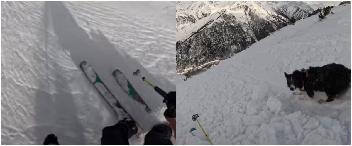 5374857259580633 collage365478936