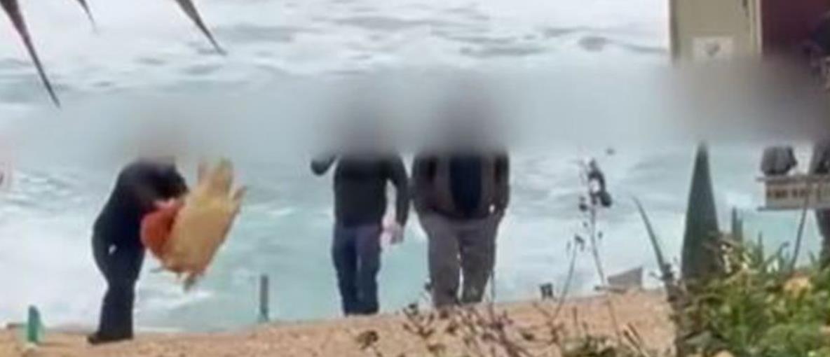 Χειροπέδες σε τέσσερα πρόσωπα για κακοποίηση χελώνας-Ανάμεσα τους και εργαζόμενοι του Κοινοτικού Συμβουλίου Χλώρακας