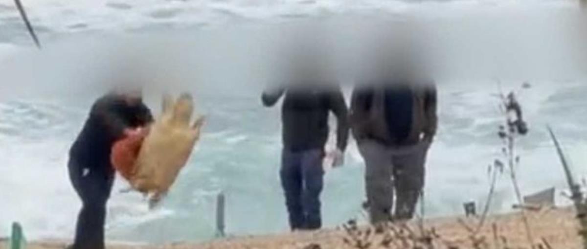 Μετά το περιστατικό με τη χελώνα μετέβη στο σημείο συνεργάτης του Τμ. Αλιείας, εν αναμονή της νεκροψίας-Σφοδρές αντιδράσεις