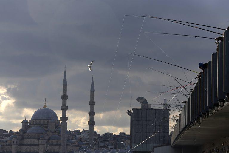 5375714529644529 image