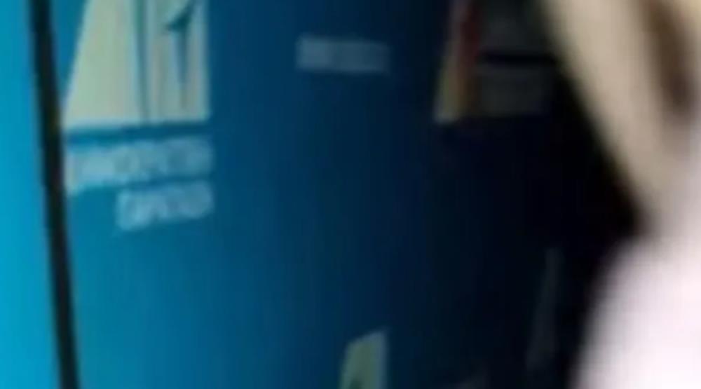 5376180807197861 cats