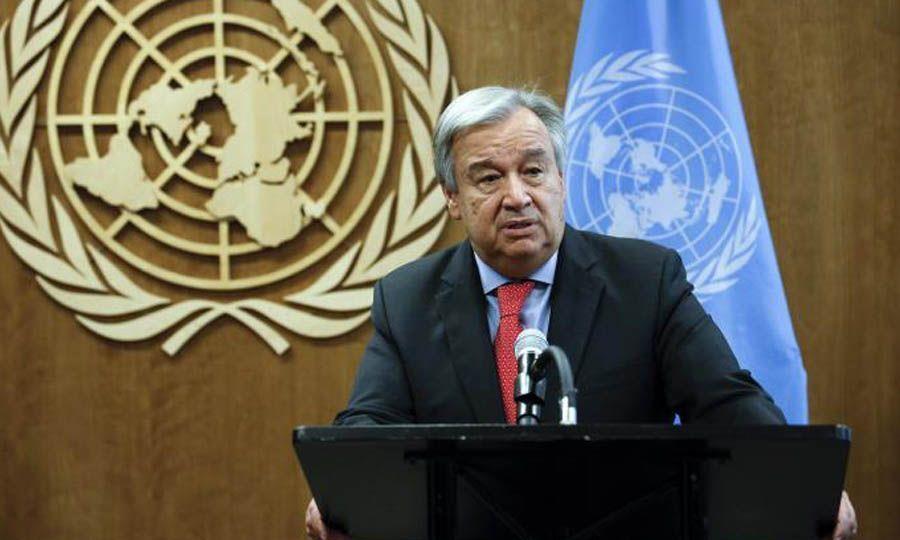 5376204126084859 image